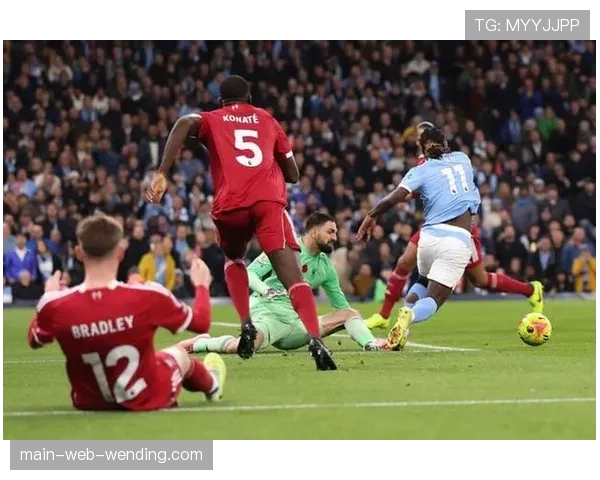 曼城对阵利物浦多库踢中麦卡利斯特胸口 专家组支持非点球判罚